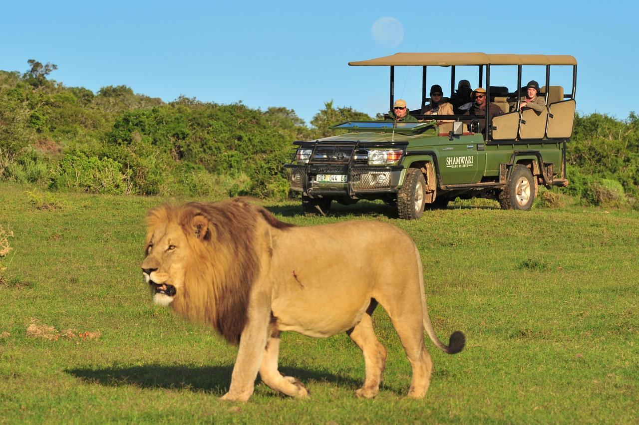 Villa Shamwari Eagles Crag Puerto Elizabeth Exterior foto