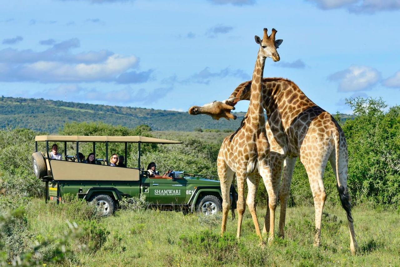 Villa Shamwari Eagles Crag Puerto Elizabeth Exterior foto